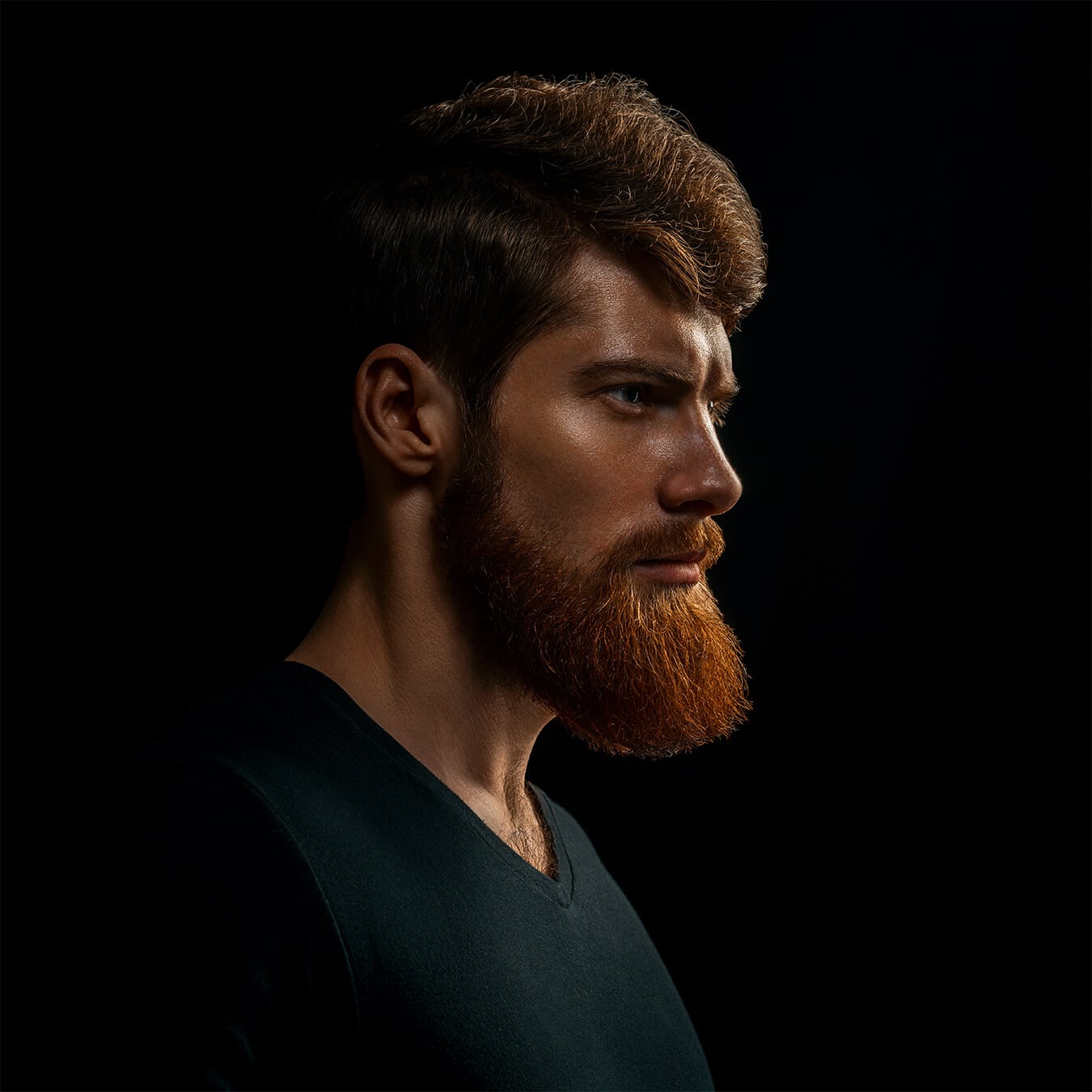 Studio — 29
